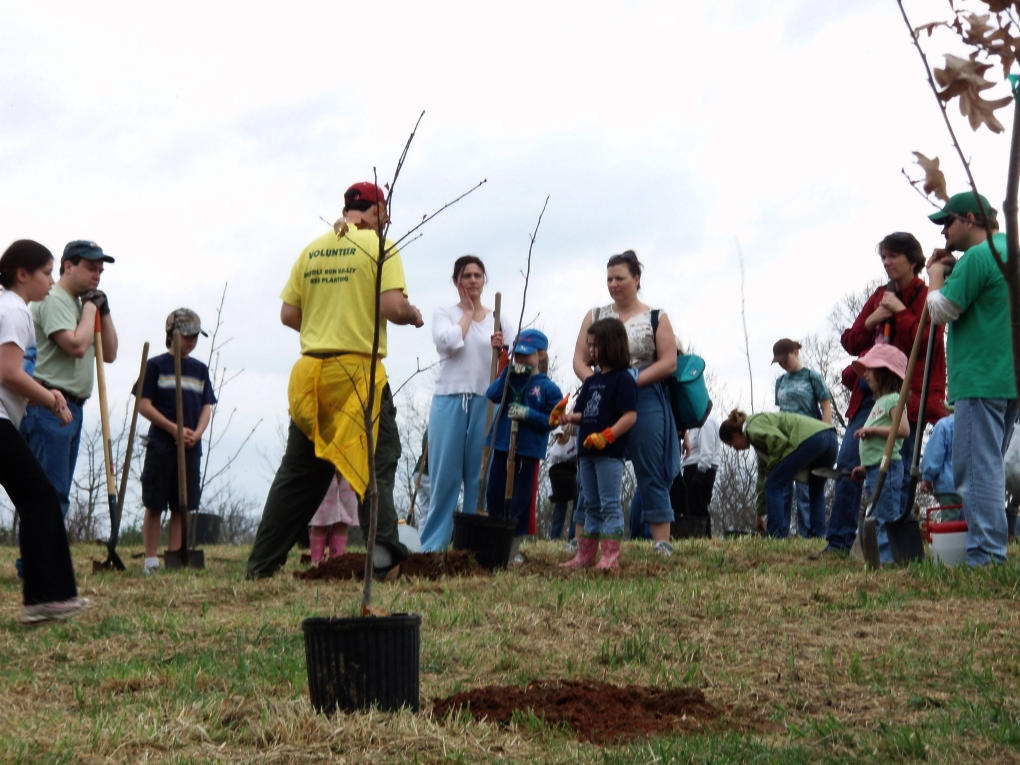 Learning to plant trees