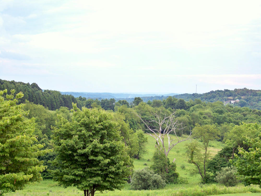 The Guide To Mingo Creek County Park