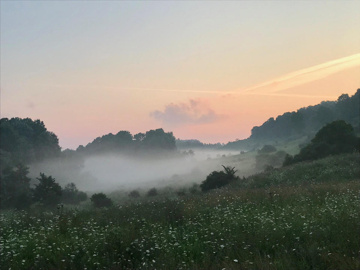 Fog hovering over the Panhandle Trail at Bulger