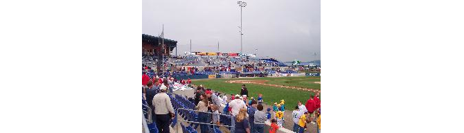 Cheering for the Washington Wild Things at Wild Things Park